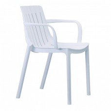 ΠΟΛΥΘΡΟΝΑ PALMER (WHITE)